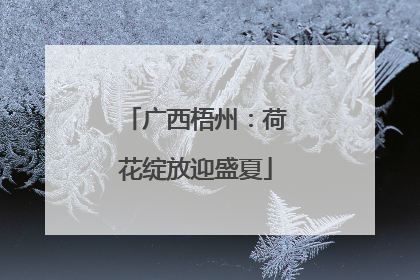 广西梧州：荷花绽放迎盛夏