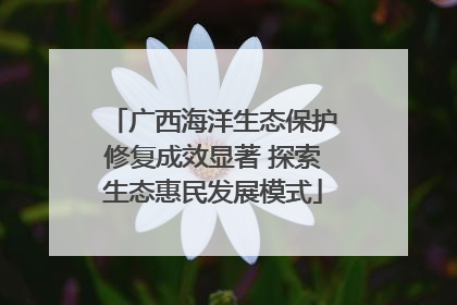 广西海洋生态保护修复成效显著 探索生态惠民发展模式