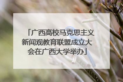 广西高校马克思主义新闻观教育联盟成立大会在广西大学举办