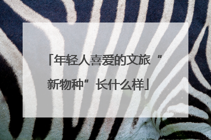 年轻人喜爱的文旅“新物种”长什么样