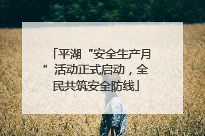 平湖“安全生产月”活动正式启动，全民共筑安全防线