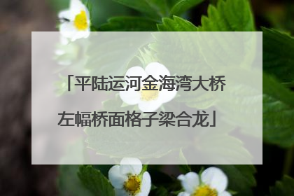 平陆运河金海湾大桥左幅桥面格子梁合龙