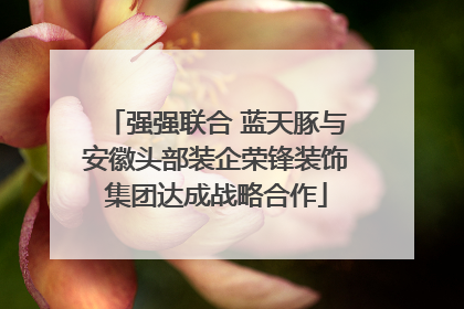 强强联合 蓝天豚与安徽头部装企荣锋装饰集团达成战略合作