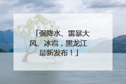 强降水、雷暴大风、冰雹，黑龙江最新发布！
