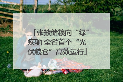 张掖储粮向“绿”疾驰 全省首个“光伏粮仓”高效运行