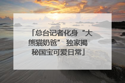 总台记者化身“大熊猫奶爸” 独家揭秘国宝可爱日常