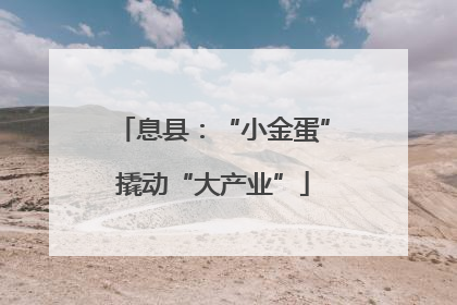 息县：“小金蛋”撬动“大产业”