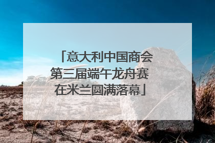 意大利中国商会第三届端午龙舟赛在米兰圆满落幕