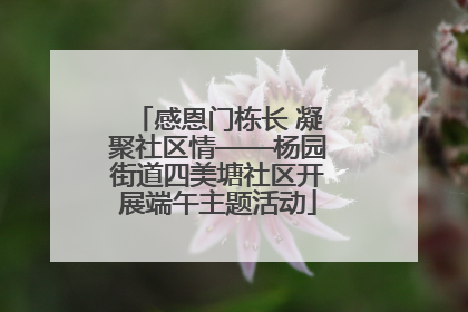 感恩门栋长 凝聚社区情——杨园街道四美塘社区开展端午主题活动
