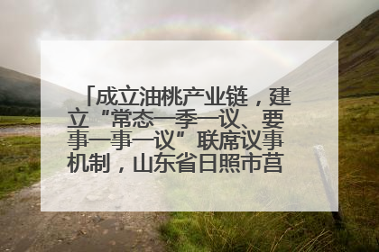 成立油桃产业链，建立“常态一季一议、要事一事一议”联席议事机制，山东省日照市莒县果庄镇——13个党小组“全周期”育果