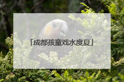 成都孩童戏水度夏