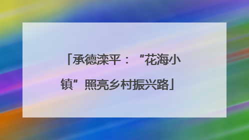 承德滦平：“花海小镇”照亮乡村振兴路