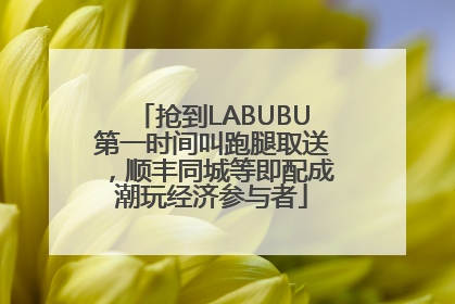 抢到LABUBU第一时间叫跑腿取送，顺丰同城等即配成潮玩经济参与者