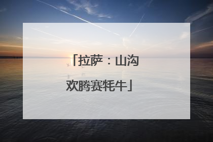 拉萨：山沟欢腾赛牦牛