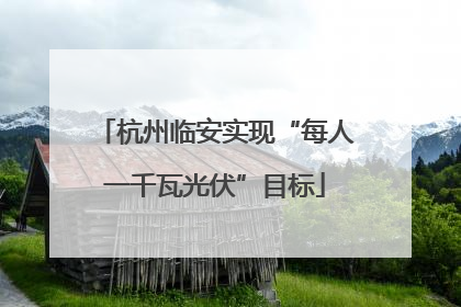 杭州临安实现“每人一千瓦光伏”目标
