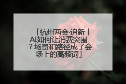 杭州两会·追新丨AI如何让消费突围？场景和路径成了会场上的高频词