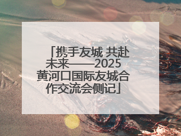携手友城 共赴未来——2025黄河口国际友城合作交流会侧记