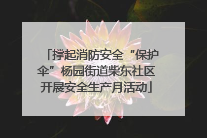撑起消防安全“保护伞”杨园街道柴东社区开展安全生产月活动