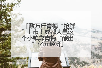 数万斤青梅“抢鲜”上市！成都大邑这个小镇靠青梅“酿出”亿元经济