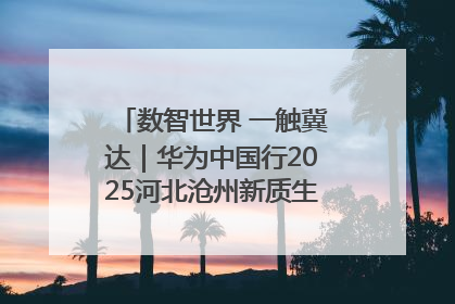 数智世界 一触冀达｜华为中国行2025河北沧州新质生产力峰会成功举办