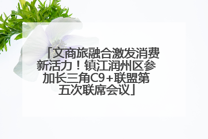 文商旅融合激发消费新活力！镇江润州区参加长三角C9+联盟第五次联席会议