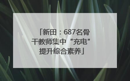 新田：687名骨干教师集中“充电” 提升综合素养