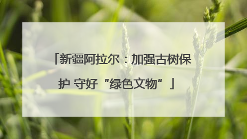 新疆阿拉尔：加强古树保护 守好“绿色文物”
