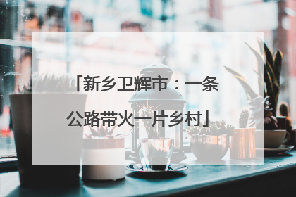 新乡卫辉市：一条公路带火一片乡村