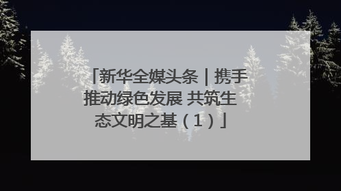 新华全媒头条｜携手推动绿色发展 共筑生态文明之基（1）