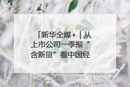 新华全媒+｜从上市公司一季报“含新量”看中国经济发展向“新”