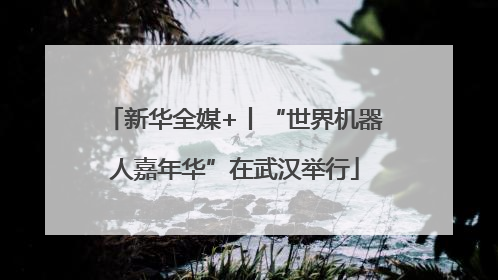 新华全媒+丨“世界机器人嘉年华”在武汉举行