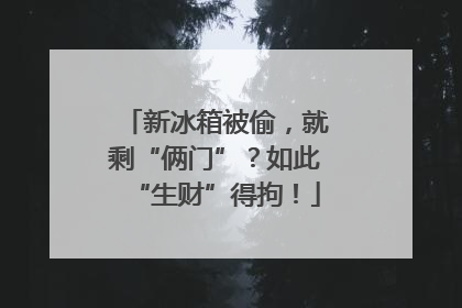 新冰箱被偷，就剩“俩门”？如此“生财”得拘！