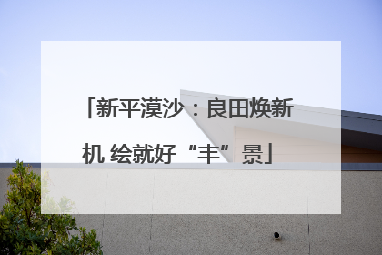 新平漠沙：良田焕新机 绘就好“丰”景