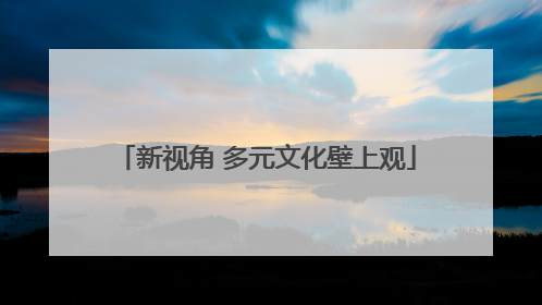 新视角 多元文化壁上观