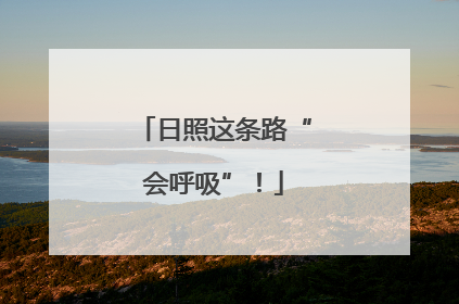日照这条路“会呼吸”！