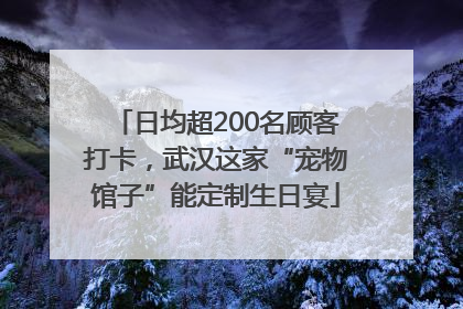 日均超200名顾客打卡，武汉这家“宠物馆子”能定制生日宴