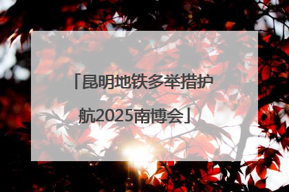 昆明地铁多举措护航2025南博会