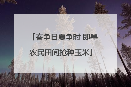 春争日夏争时 即墨农民田间抢种玉米