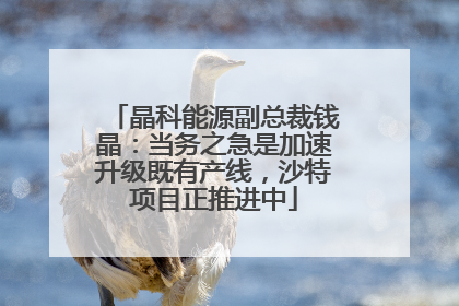 晶科能源副总裁钱晶：当务之急是加速升级既有产线，沙特项目正推进中