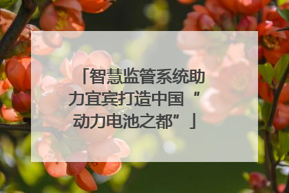 智慧监管系统助力宜宾打造中国“动力电池之都”