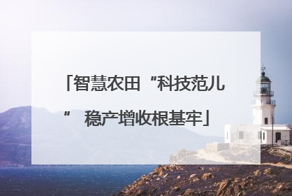 智慧农田“科技范儿” 稳产增收根基牢