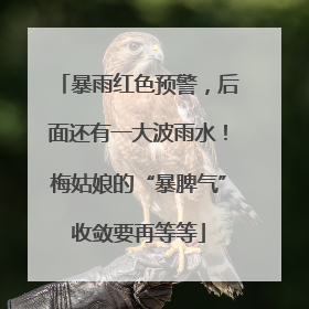 暴雨红色预警，后面还有一大波雨水！梅姑娘的“暴脾气”收敛要再等等