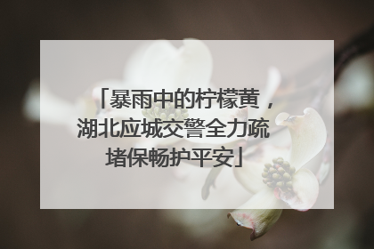 暴雨中的柠檬黄，湖北应城交警全力疏堵保畅护平安