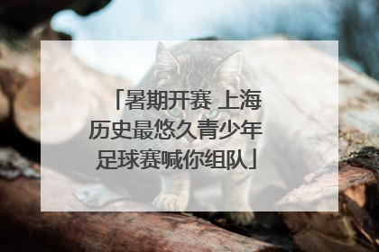 暑期开赛 上海历史最悠久青少年足球赛喊你组队