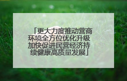 更大力度推动营商环境全方位优化升级加快促进民营经济持续健康高质量发展