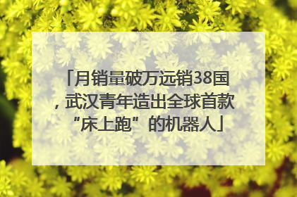 月销量破万远销38国，武汉青年造出全球首款“床上跑”的机器人