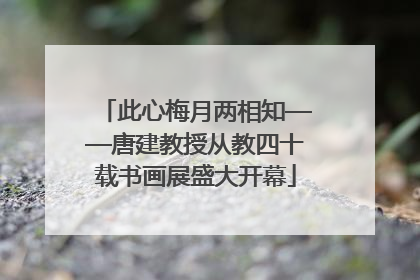 此心梅月两相知——唐建教授从教四十载书画展盛大开幕