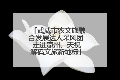武威市农文旅融合发展达人采风团 走进凉州、天祝解码文旅新地标