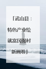 武山县：特色产业绘就富民强村新画卷
