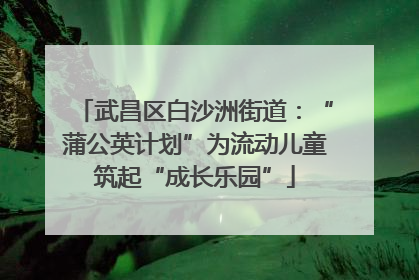 武昌区白沙洲街道：“蒲公英计划”为流动儿童筑起“成长乐园”